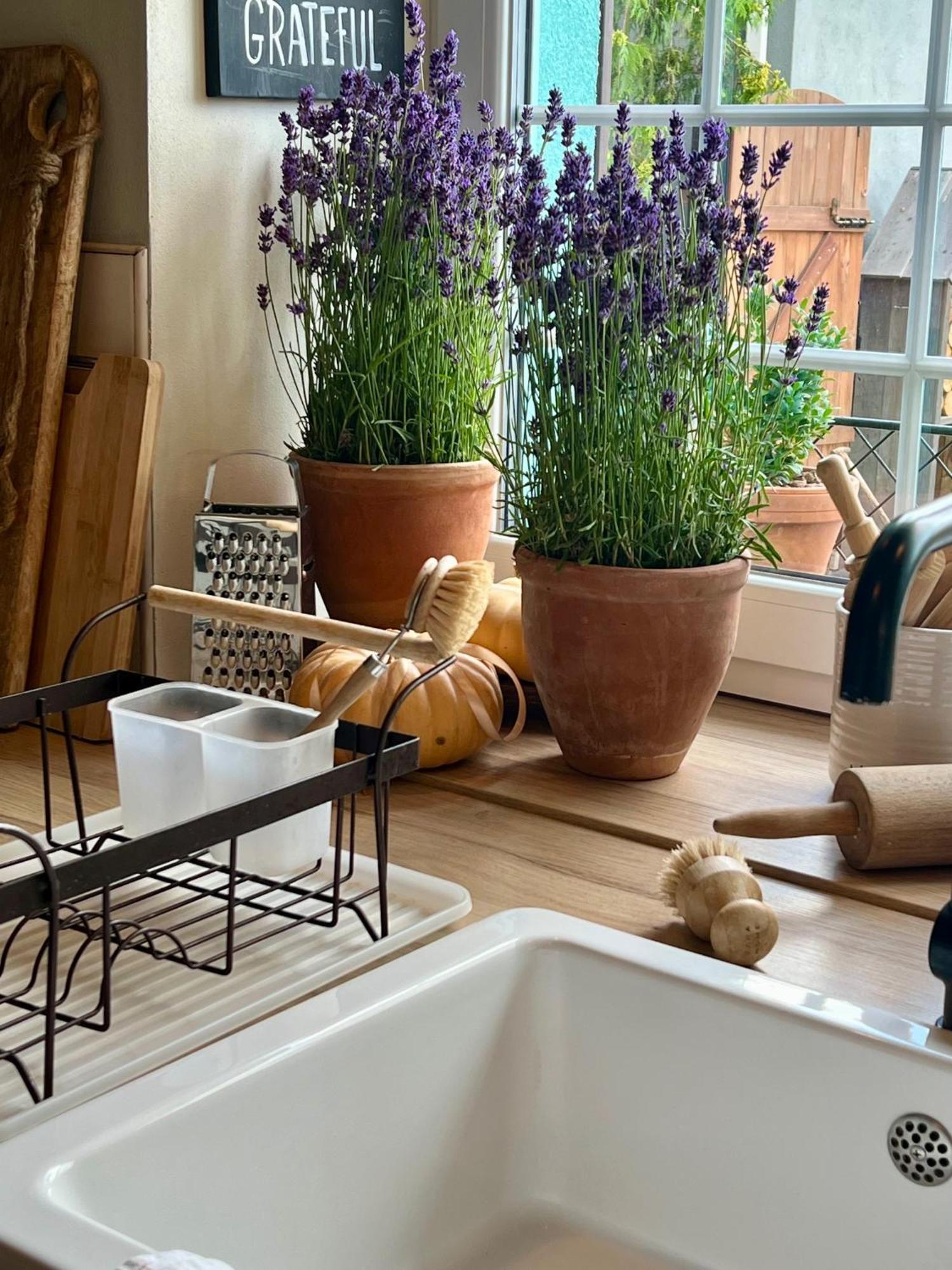 Orchardhouse Farmhouse, Wellness Chrast  Bagian luar foto