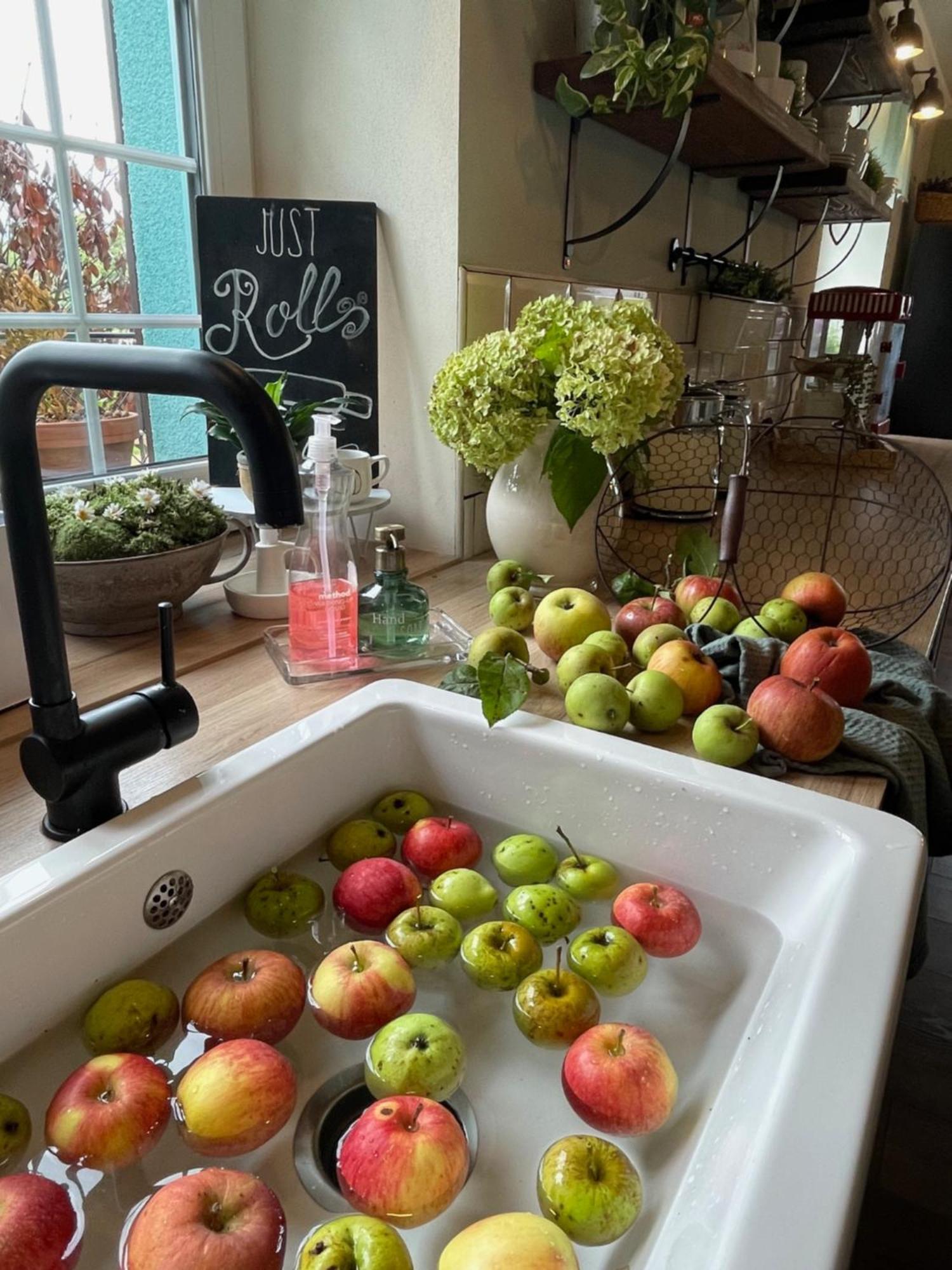 Orchardhouse Farmhouse, Wellness Chrast  Bagian luar foto